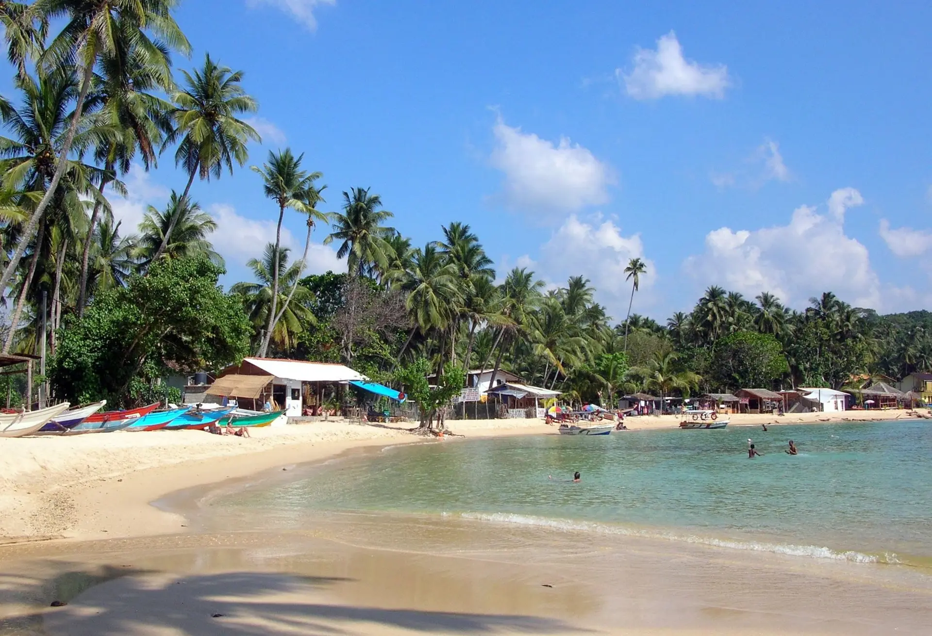Den svängda, palmkantade stranden i Unawatuna